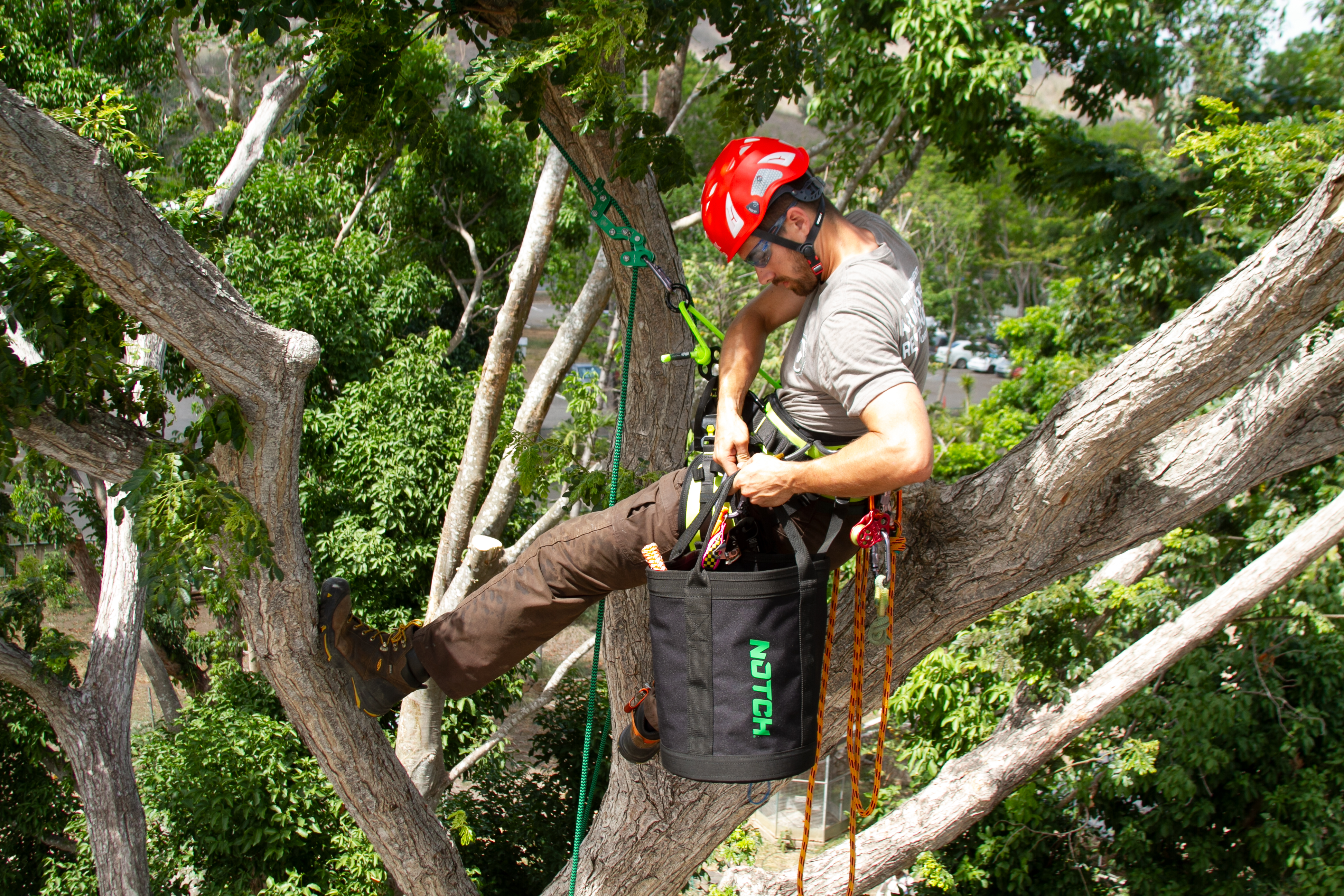 Arborist in red helmet and climbing harness working high in a leafy tree canopy, Christchurch tree service hero image