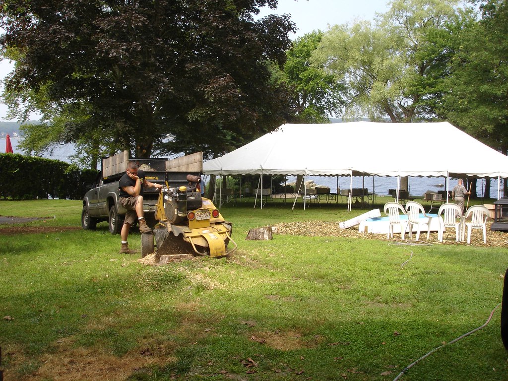 Operator grinding a tree stump with a yellow stump grinder beside a work ute